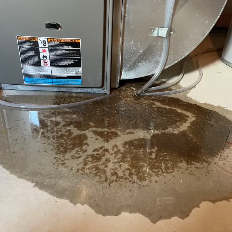 Appliance Leak Cleanup in Cape Neddick, ME